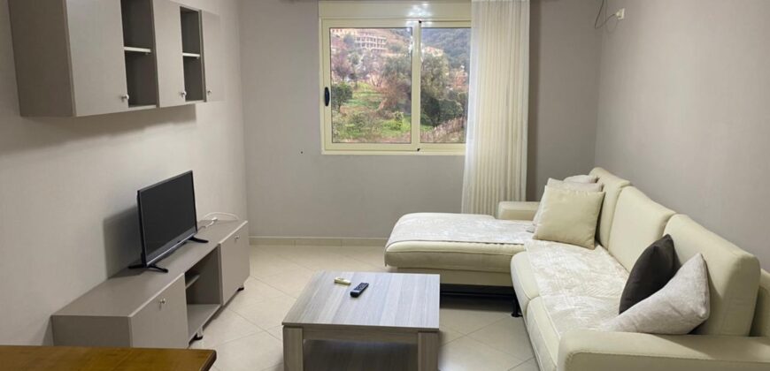 Apartament 1+1