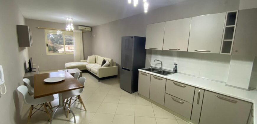 Apartament 1+1