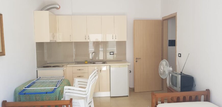 Apartament 1+1